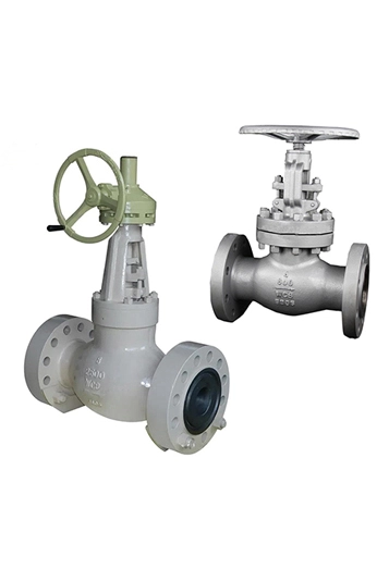 Globe Valve