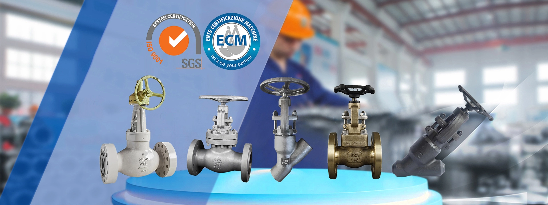 Globe Valve