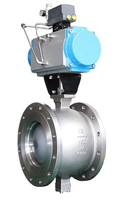 Segment Ball Valve