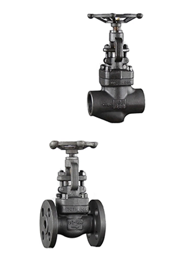Forged Globe Valve