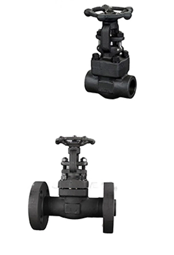 Forged Gate Valve