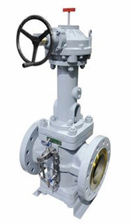 Double Block and Bleed Plug Valve