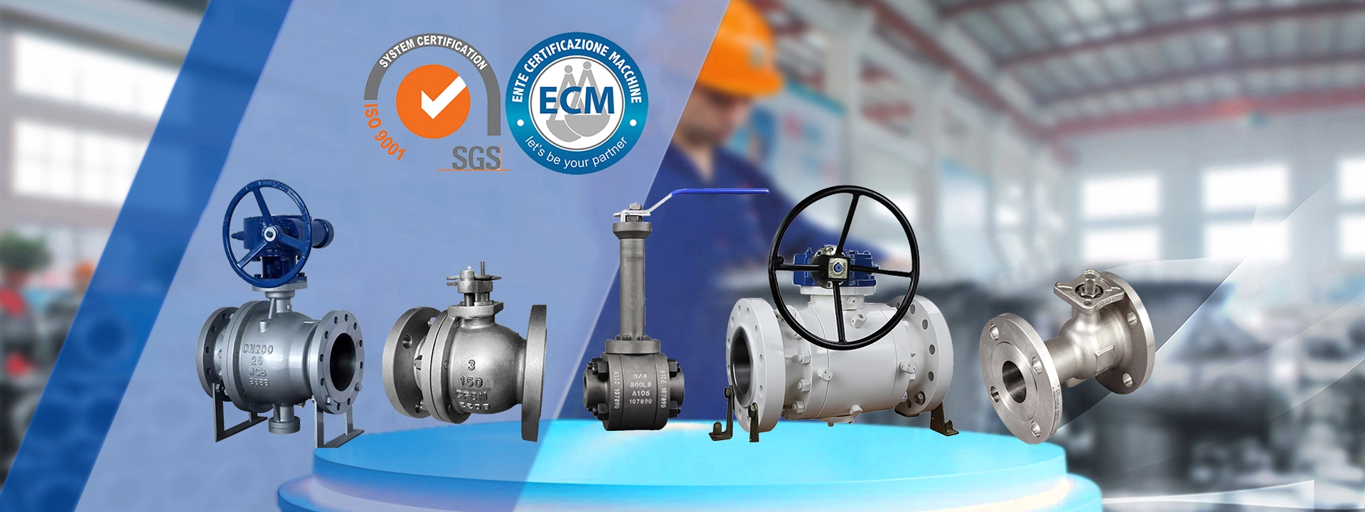 Segment Ball Valve