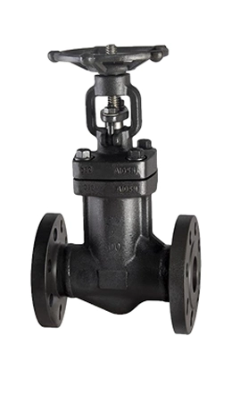 Forged Bellow Sealed Globe Valve