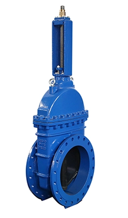 Resilient Seat Cast Iron Gate Valve