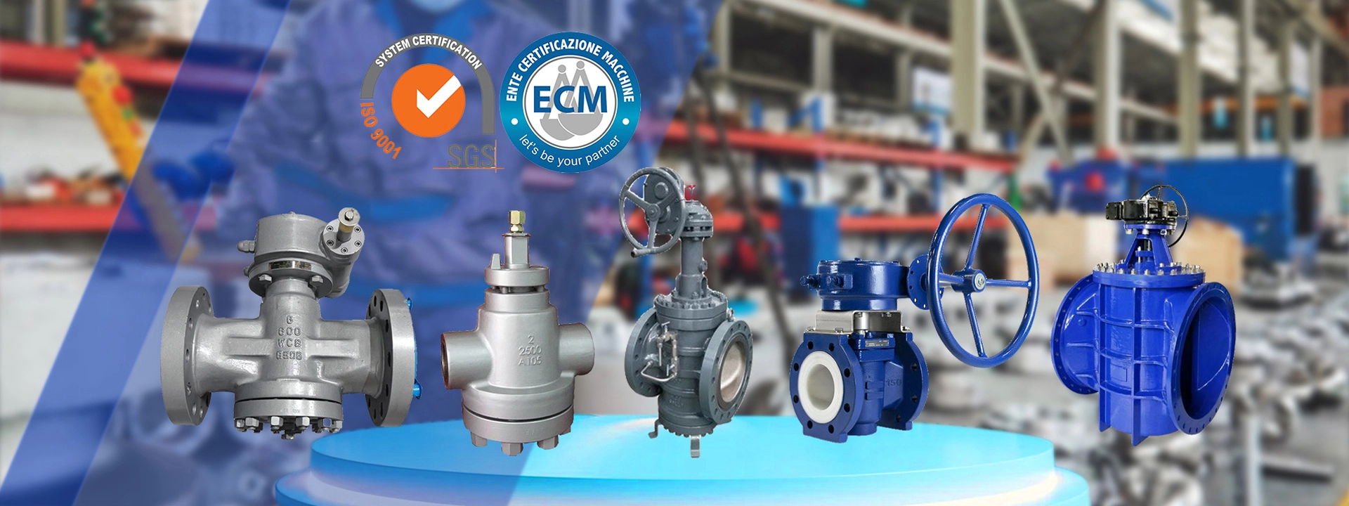 Double Block and Bleed Plug Valve