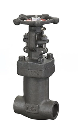 Forged Steel Gate Valve