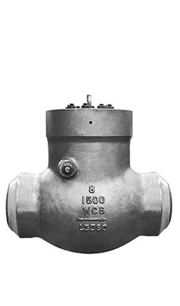 Power Station Check Valve