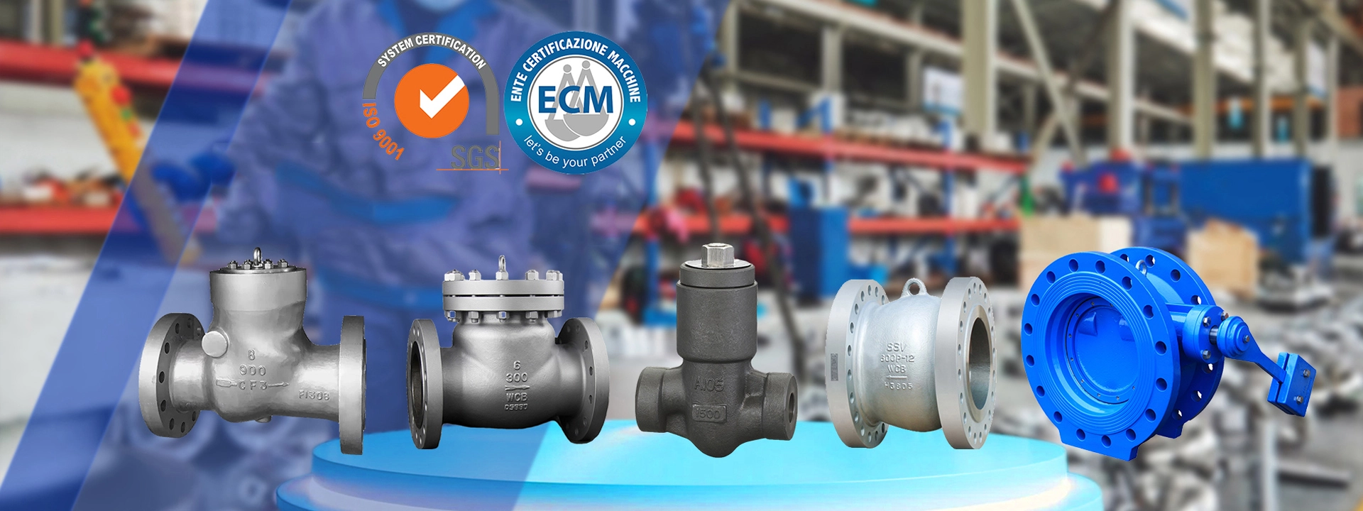Cast Check Valve
