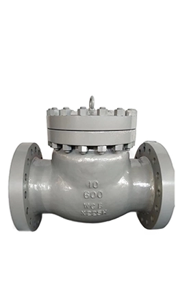 Swing Check Valve