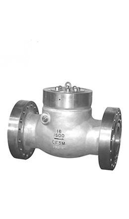 Stainless Steel Check Valve