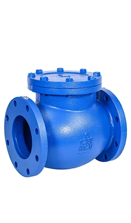 Cast Iron Check Valve