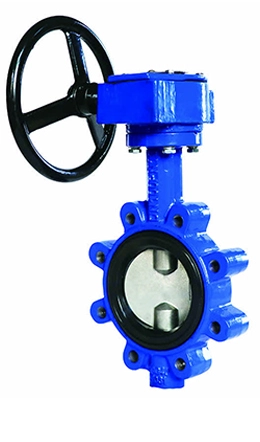 Lug Concentric Butterfly Valve