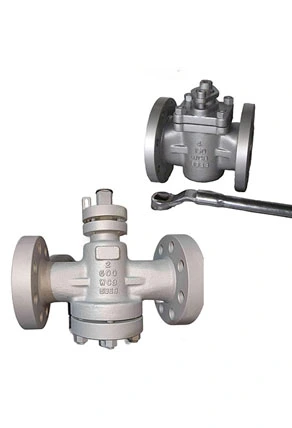 Plug Valve