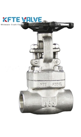 Forged Stainless Steel Gate Valve