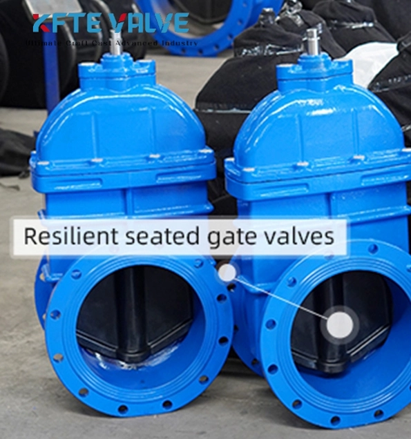 cast-iron-flanged-gate-valve