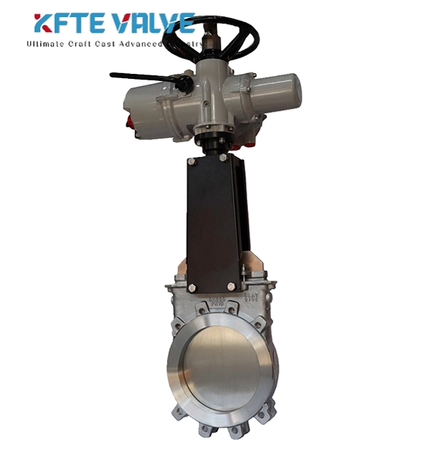 gate-valve-wafer-type