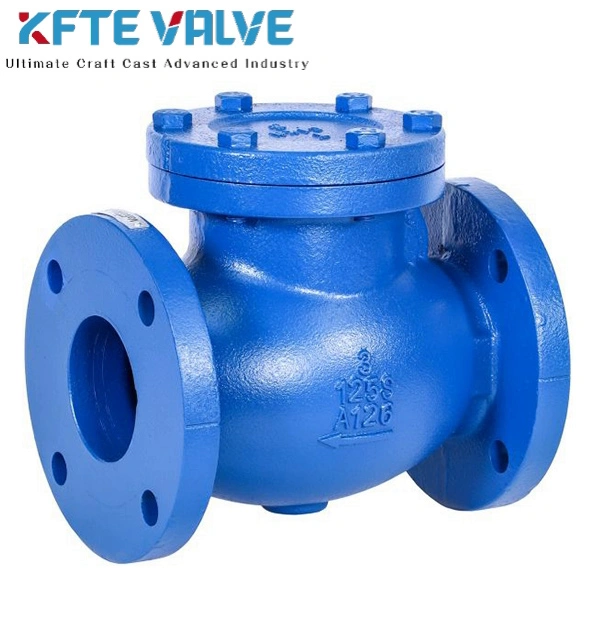 Cast Iron Check Valve