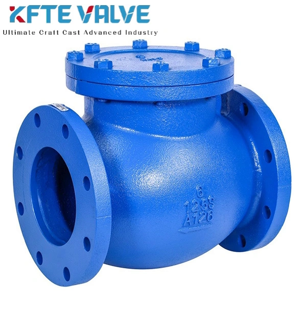 Cast Iron Check Valve