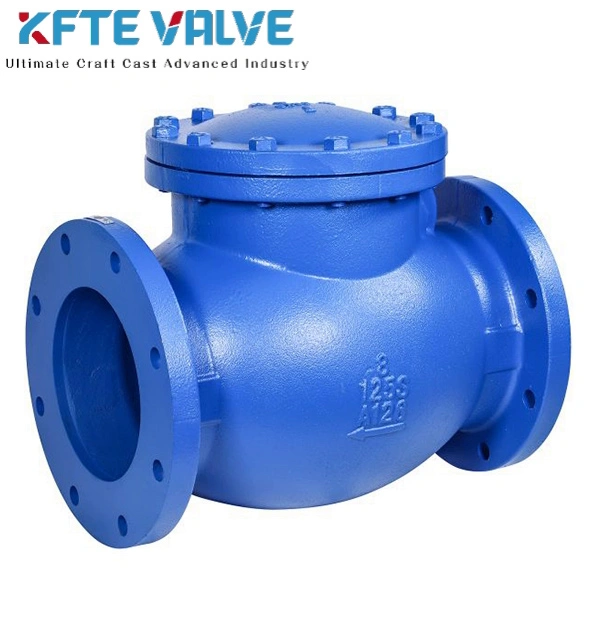 Cast Iron Check Valve