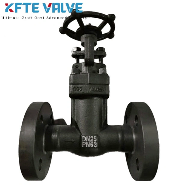 Forged Bellow Sealed Globe Valve