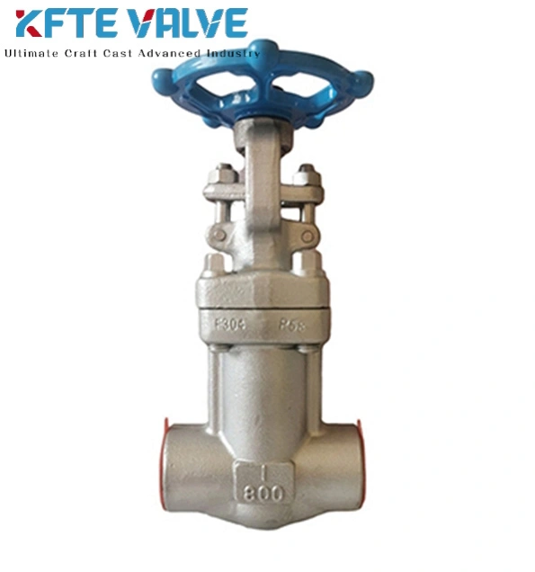 Forged Bellow Sealed Globe Valve