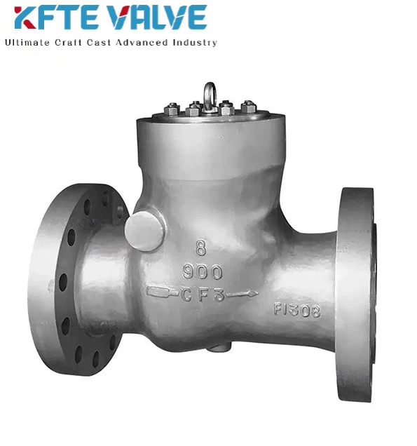 Power Station Check Valve