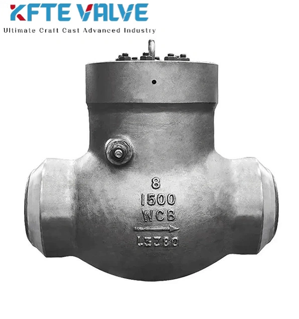 Power Station Check Valve