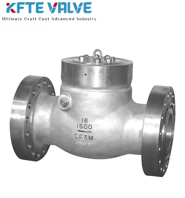 Power Station Check Valve