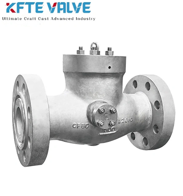 Power Station Check Valve