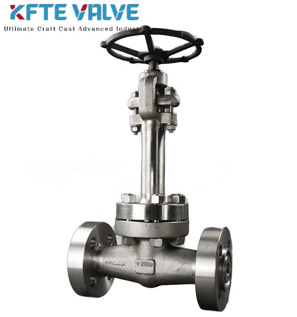 Stainless Steel Globe Valve