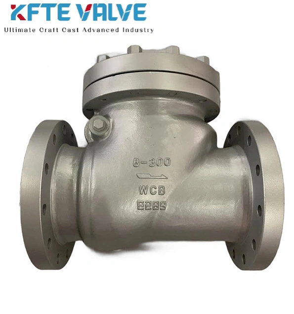 Swing Check Valve