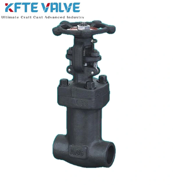 Forged Bellow Sealed Globe Valve