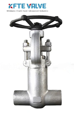 Forged Pressure Seal Gate Valve