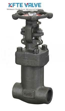 Forged Steel Gate Valve
