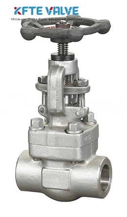 Forged Steel Globe Valve